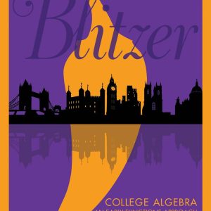 College Algebra An Early Functions Approach 4th Edition